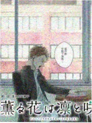 2023年青春剧《夏日回声》封面